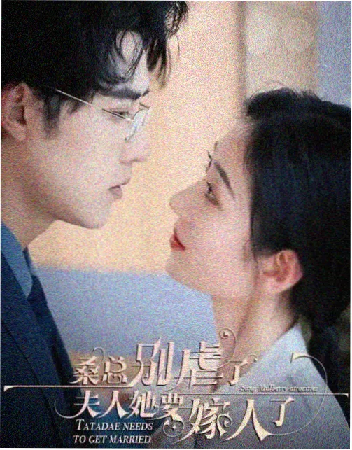 海边的旧书店 治愈剧免费观看